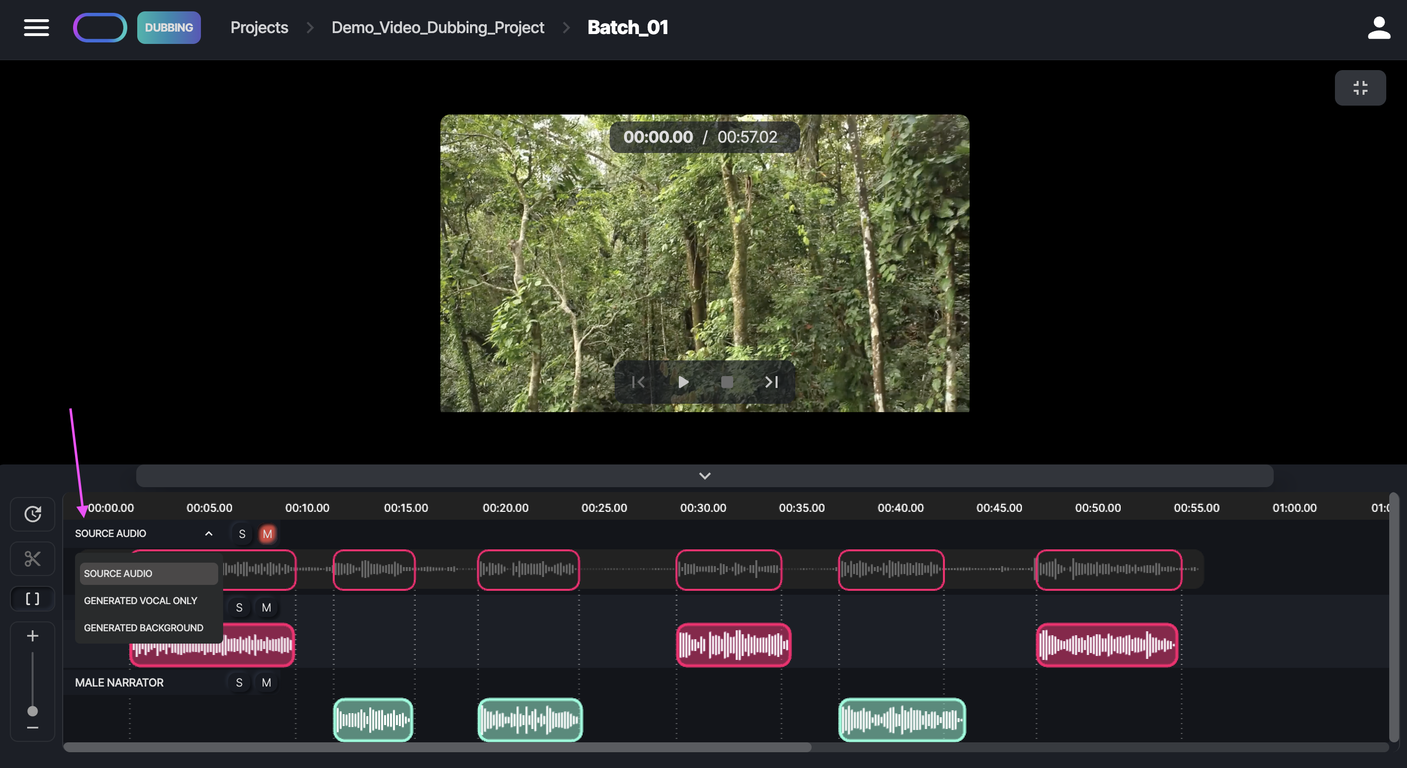 Timeline_Reference_Tracks